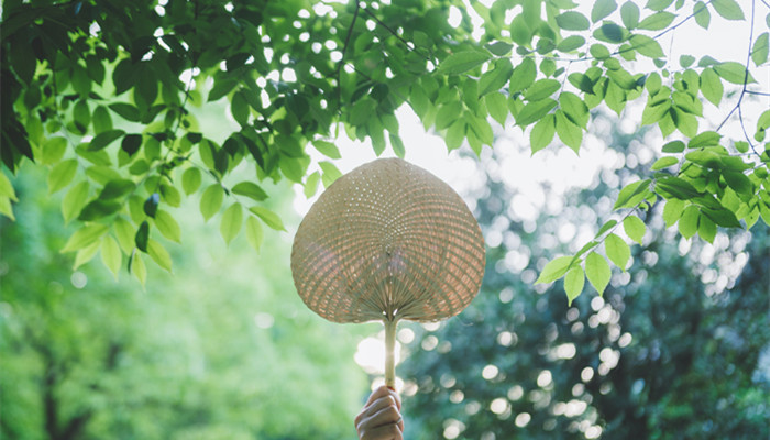 24节气立夏的古诗 