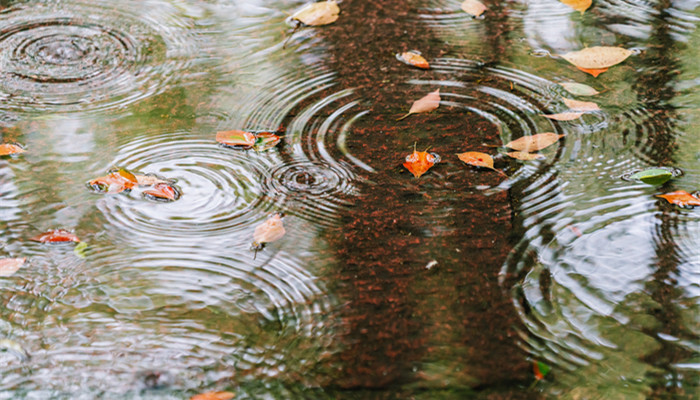 雨的形成 