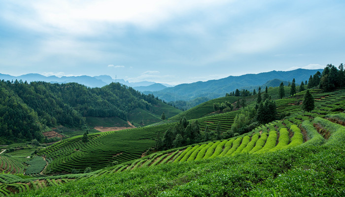 武夷山在哪里 