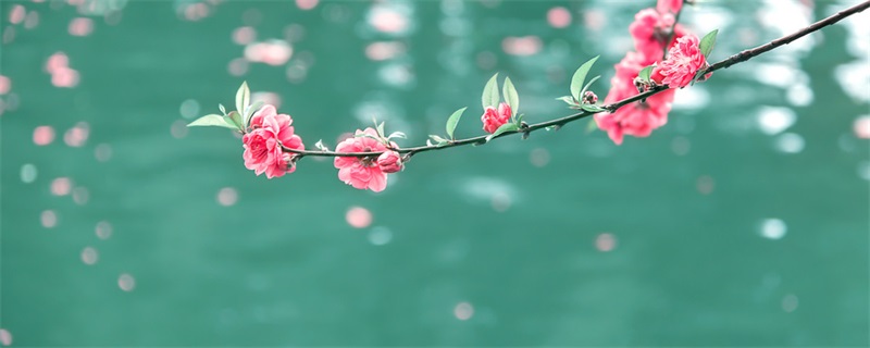 梅雨天气有什么特点 