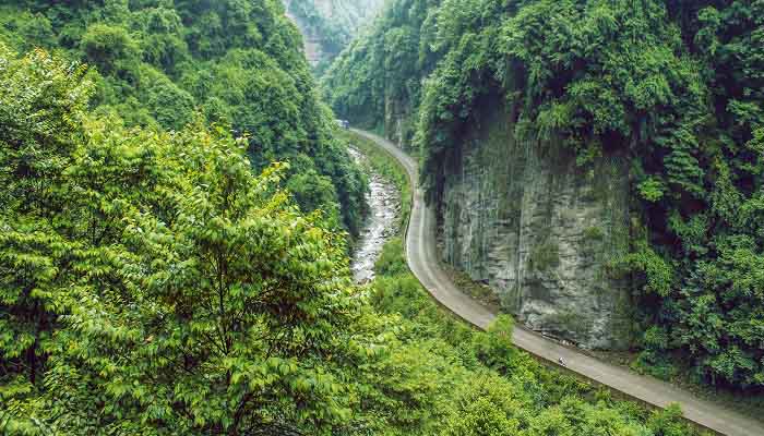 天目山在哪里 