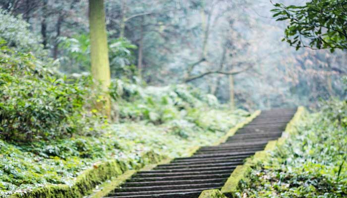 天目山在哪里 