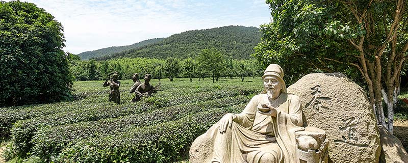 龙井茶是绿茶吗 