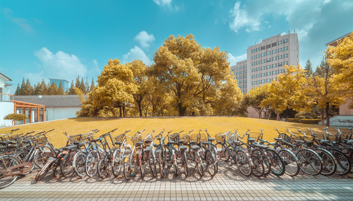 同济大学在哪里 