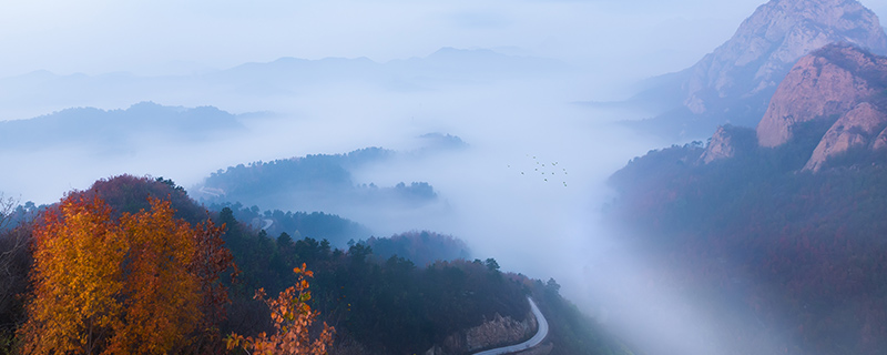 红树林适合长在什么地方 