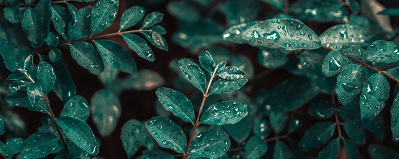 梅雨季节是几月份 