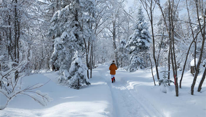 大雪纷飞的意思 