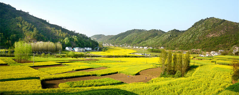 世界上最矮的山是什么山 