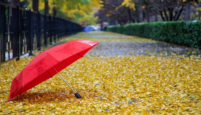 雨伞是谁发明的 