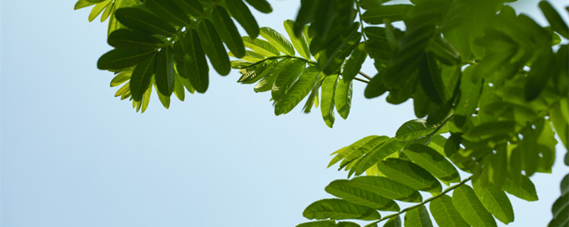 夏至天气会暖和吗 