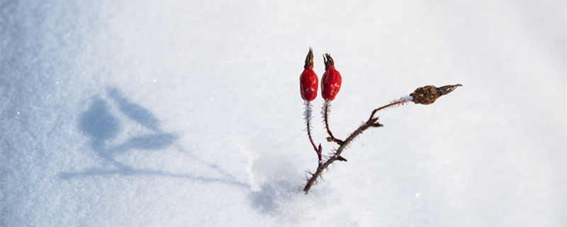 下雪路滑注意安全的话 