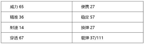 穿越火线：枪战王者-双S家族又添新成员，AK12-SS步枪综合评测