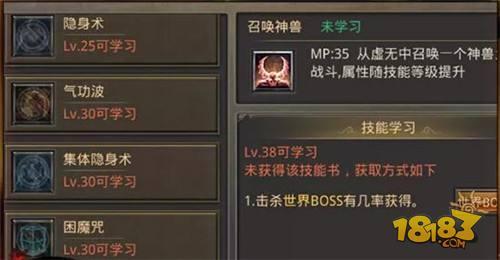 热血传奇手机版-灵魂火符之力 道士职业高层玛法塔技能选择