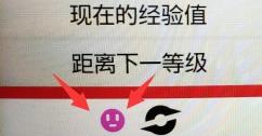 宝可梦剑盾宝可梦病毒是什么？宝可梦病毒有什么用？