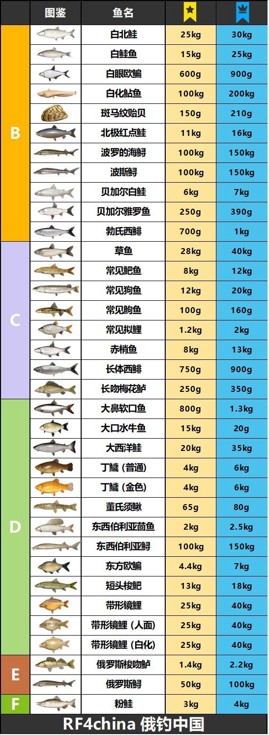 俄罗斯钓鱼4鱼类重量图鉴 全鱼类重量查询表_B—F