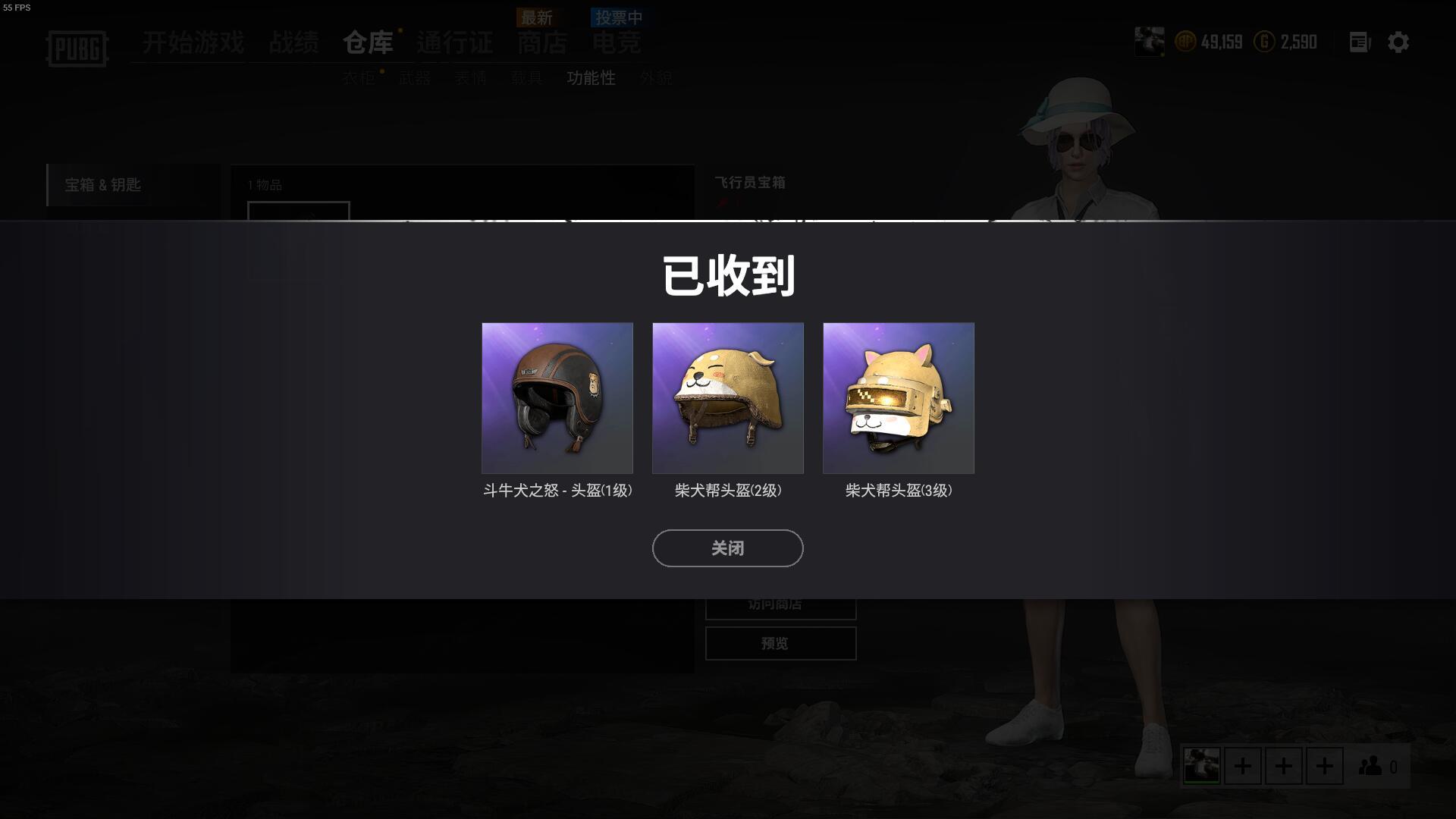 绝地求生柴犬帮头盔套装游戏内效果 PUBG动物头盔_柴犬帮头盔套装