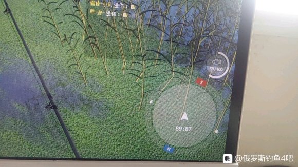 俄罗斯钓鱼4新2图钓点分享 新2图拟鲤点位介绍