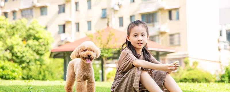 狗看见人跑为什么会追 