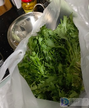 苦菊怎么凉拌好吃