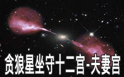 贪狼星坐守十二宫：夫妻宫详解 