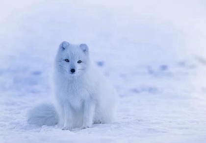 非常运势算命,2020年大雪后一天可不可以出远门,大雪吃什么传统食物？ 