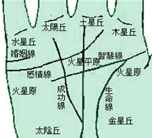 手相图解大全男左手 手相图解男生命线