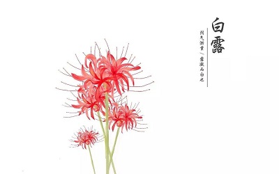 宝宝在2020年白露节气亥时出生好吗？ 