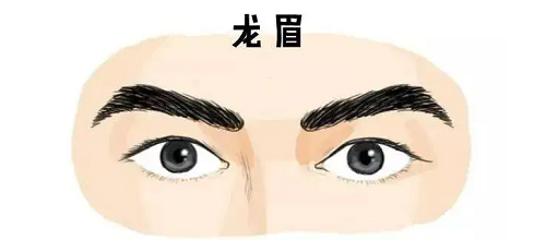 男人十大富贵眉毛 十大富贵眉毛图片男