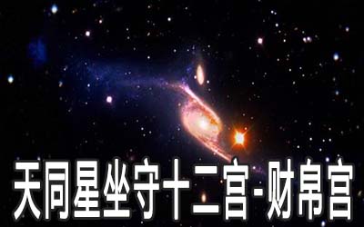 天同星坐守十二宫：财帛宫详解 