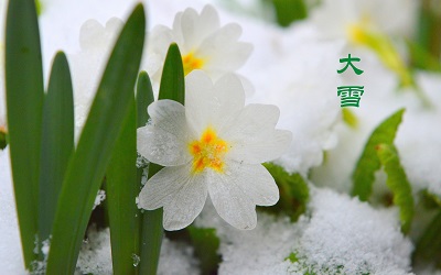 易奇八字,2020年12月7日大雪卯时出生喜用神是火吗？ 