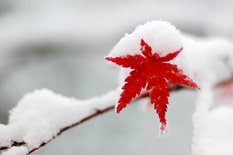 生辰八字算命,大雪节气当天订婚合适吗，订婚戒指是男方送的吗？ 