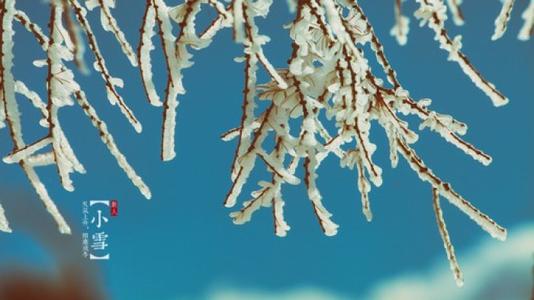 真人算命大师在线算命,小雪节气出生的属蛇人是什么命，好不好？ 