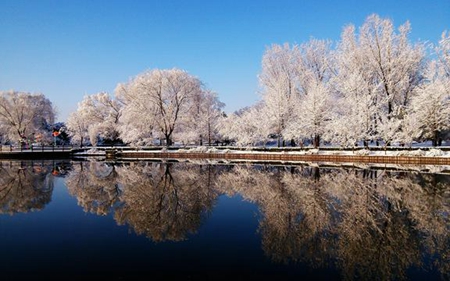 紫微斗数,2020年小雪前一天适合开业吗,小雪是第几个节气？ 