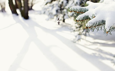 2020鼠年大雪节气后一天十月二十四日适合求嗣吗？ 