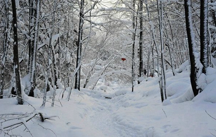 婚姻预测,2020年12月7日大雪是买房吉日吗,买房看风水有何禁忌注意？ 