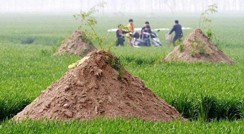 墓地风水怎么样的好 墓地风水分金图解