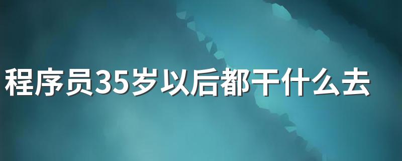 程序员35岁以后都干什么去了 有哪些出路