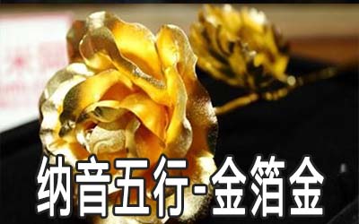 八字纳音五行：金箔金命详解 