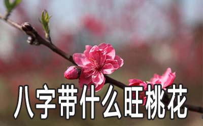 男人八字带什么桃花运会旺 