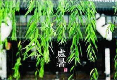 2020年处暑节气巳时出生喜用神解析命运如何？ 