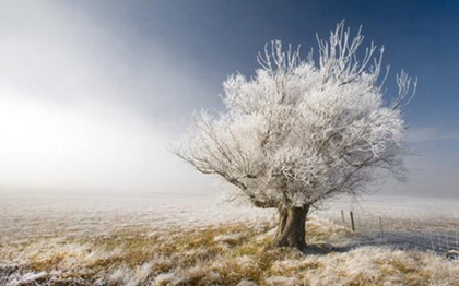 周易占卜,2020年小雪适合出远门旅游看雪吗,小雪是反映降水节气吗？ 