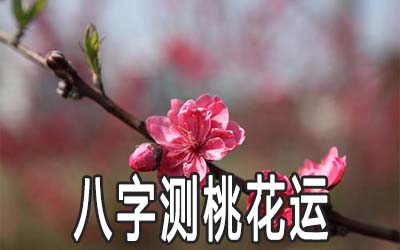 八字怎么测桃花运详解 