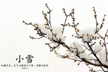 算命婚姻,2020年11月22日小雪适宜出远门吗,2020小雪卦象解析！ 