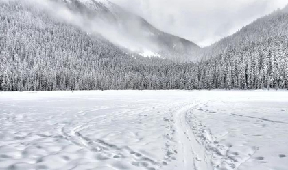 八字算命,2020年大雪后一天开业不吉利吗,12月8日不能开张吗？ 