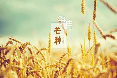 2020年芒种出生的命运好不好？芒种后是梅雨季节吗？ 