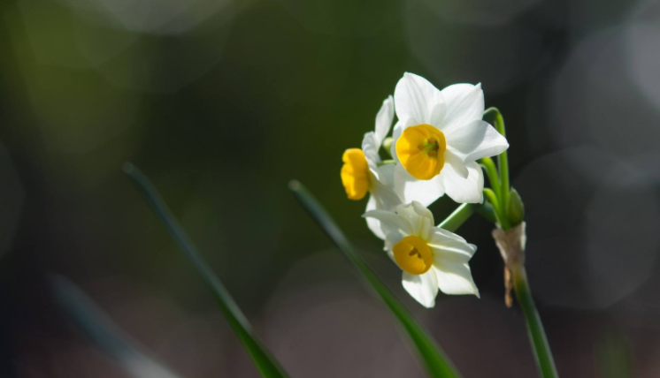 3月7日出生的人很可怕吗 3月7日出生是什么命 