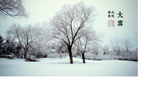 命运分析,大雪节气看命运：2020年12月7日大雪出生的男孩命运怎么样？ 