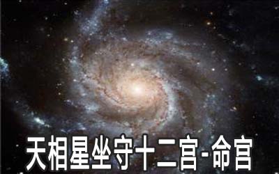 天相星坐守十二宫：命宫详解 