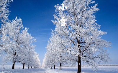 在线算命,2020年11月22日小雪子时出生的人喜用神是什么？ 