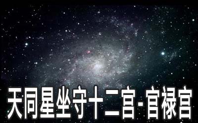 天同星坐守十二宫：官禄宫详解 